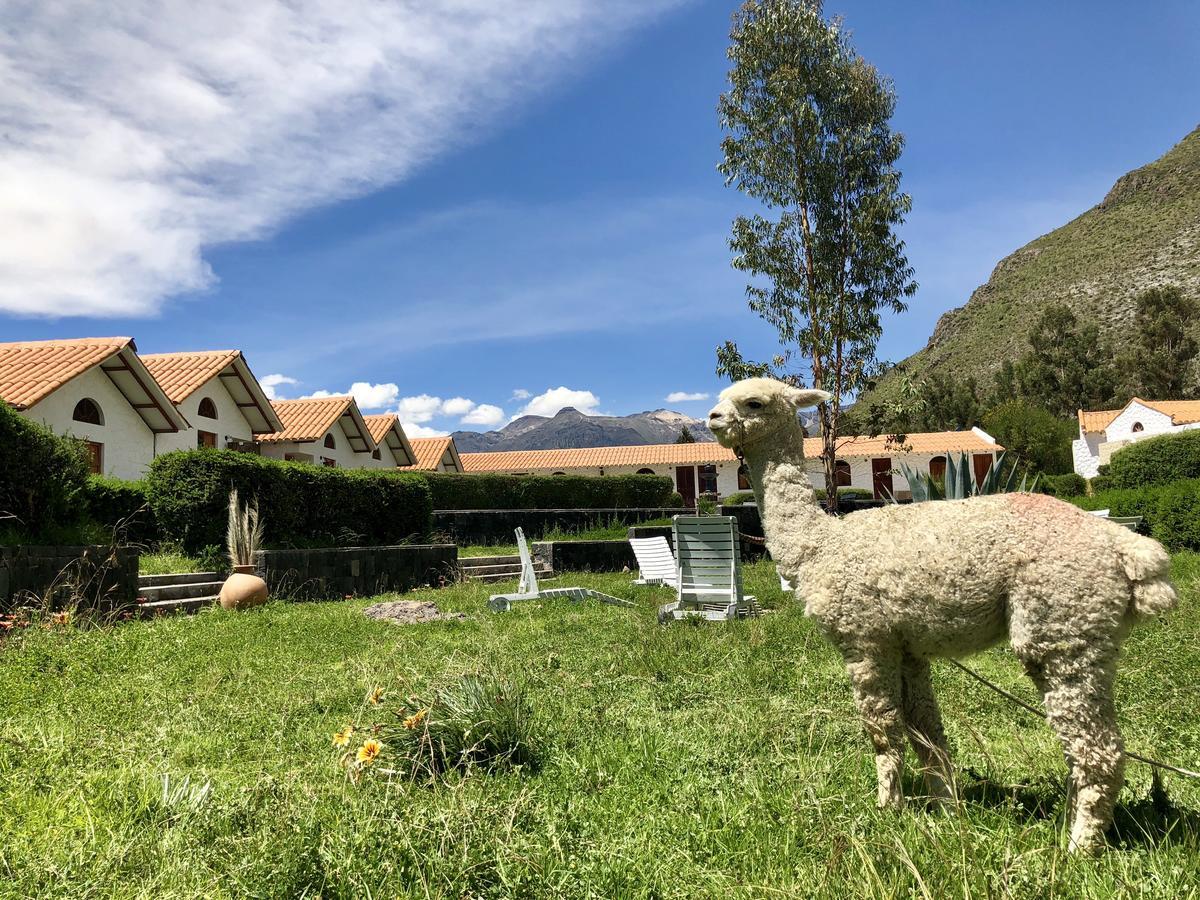 Casona Plaza Ecolodge Colca Yanque 외부 사진